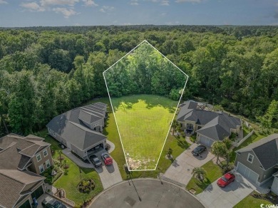 Experience an extraordinary opportunity within the prestigious on Arrowhead Country Club in South Carolina - for sale on GolfHomes.com, golf home, golf lot