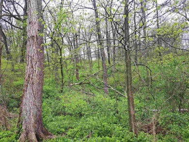 This beautiful golf course lot is located in The Galena on Eagle Ridge Inn and Resort in Illinois - for sale on GolfHomes.com, golf home, golf lot