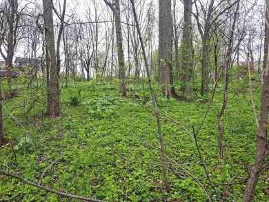 This beautiful golf course lot is located in The Galena on Eagle Ridge Inn and Resort in Illinois - for sale on GolfHomes.com, golf home, golf lot