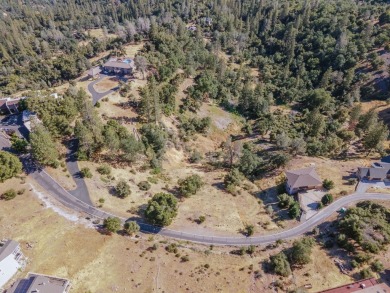 Views, location AND priced to sell! Build your dream mountain on Forest Meadows Golf Course in California - for sale on GolfHomes.com, golf home, golf lot