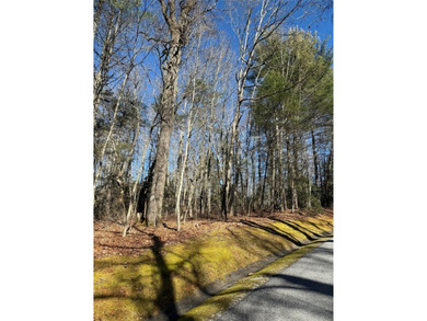 A McKee Development Neighborhood and Tom Fazio Designed Golf on Headwaters Golf Club in North Carolina - for sale on GolfHomes.com, golf home, golf lot