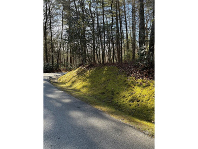 A McKee Development Neighborhood and Tom Fazio Designed Golf on Headwaters Golf Club in North Carolina - for sale on GolfHomes.com, golf home, golf lot