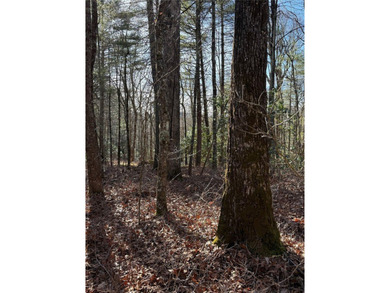 A McKee Development Neighborhood and Tom Fazio Designed Golf on Headwaters Golf Club in North Carolina - for sale on GolfHomes.com, golf home, golf lot