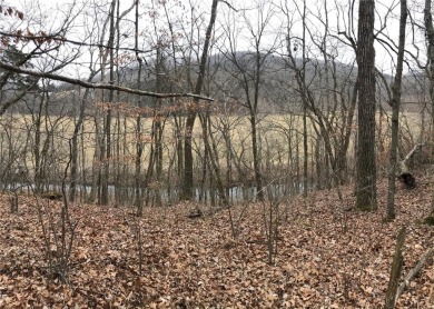 Stunning Alpine Woods lot showcasing gorgeous views of Alpine on Innsbrook Resort Golf Course in Missouri - for sale on GolfHomes.com, golf home, golf lot