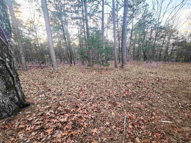 If you are looking for a place to call home or a place to on Indian Hills Country Club in Arkansas - for sale on GolfHomes.com, golf home, golf lot