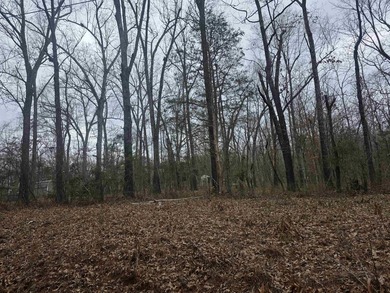 Great Investment opportunity. 22 Lots in Beautiful Cherokee on Cherokee Village North Course in Arkansas - for sale on GolfHomes.com, golf home, golf lot