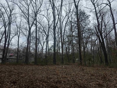 Great Investment opportunity. 22 Lots in Beautiful Cherokee on Cherokee Village North Course in Arkansas - for sale on GolfHomes.com, golf home, golf lot