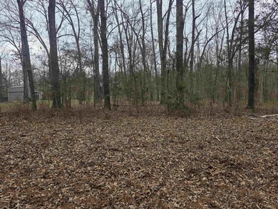 Great Investment opportunity. 22 Lots in Beautiful Cherokee on Cherokee Village North Course in Arkansas - for sale on GolfHomes.com, golf home, golf lot