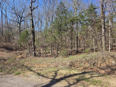 Great Investment opportunity. 22 Lots in Beautiful Cherokee on Cherokee Village North Course in Arkansas - for sale on GolfHomes.com, golf home, golf lot