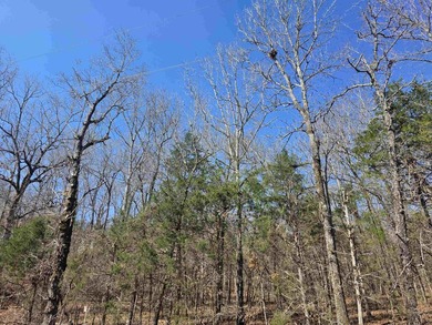 Great Investment opportunity. 22 Lots in Beautiful Cherokee on Cherokee Village North Course in Arkansas - for sale on GolfHomes.com, golf home, golf lot