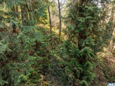 Approximately 1 acre in a neighborhood of upscale homes with on Peninsula Golf Club Inc. in Washington - for sale on GolfHomes.com, golf home, golf lot