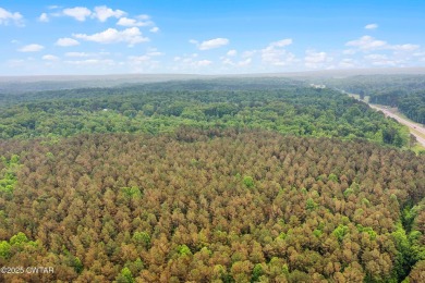100 Acres of Opportunity on Hwy 412!
This prime property offers on Pinetree Country Club in Tennessee - for sale on GolfHomes.com, golf home, golf lot