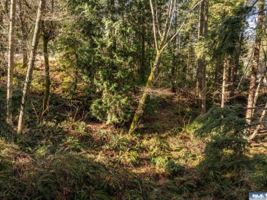 Approximately 3/4 acre in a neighborhood of upscale homes on Peninsula Golf Club Inc. in Washington - for sale on GolfHomes.com, golf home, golf lot
