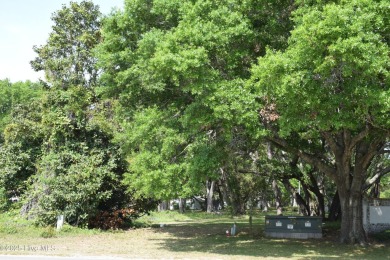 Great lot ready for you to build your dream home. Surrounded by on Brick Landing Plantation Yacht and Golf Club in North Carolina - for sale on GolfHomes.com, golf home, golf lot