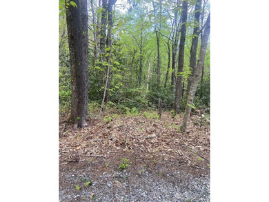 Discover your mountain retreat located at the end of cul-de-sac on Sapphire National Golf Club in North Carolina - for sale on GolfHomes.com, golf home, golf lot