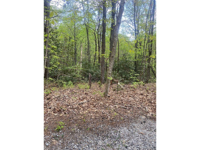 Discover your mountain retreat located at the end of cul-de-sac on Sapphire National Golf Club in North Carolina - for sale on GolfHomes.com, golf home, golf lot