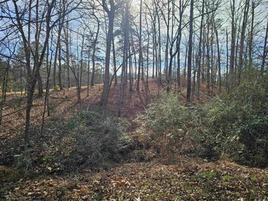 Nice, up-sloped, golf frontage Balboa golf course lot on the on Balboa Golf Course in Arkansas - for sale on GolfHomes.com, golf home, golf lot