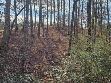 Nice, up-sloped, golf frontage Balboa golf course lot on the on Balboa Golf Course in Arkansas - for sale on GolfHomes.com, golf home, golf lot