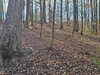 Nice, up-sloped, golf frontage Balboa golf course lot on the on Balboa Golf Course in Arkansas - for sale on GolfHomes.com, golf home, golf lot