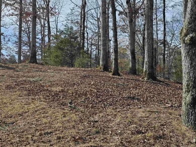 Nice, up-sloped, golf frontage Balboa golf course lot on the on Balboa Golf Course in Arkansas - for sale on GolfHomes.com, golf home, golf lot