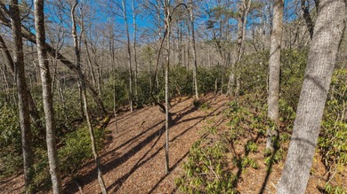 Tucked away at the end of Flagstone Road, this exceptional 2 on High Hampton Inn and Country Club in North Carolina - for sale on GolfHomes.com, golf home, golf lot