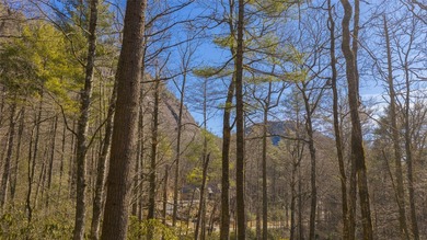 Tucked away at the end of Flagstone Road, this exceptional 2 on High Hampton Inn and Country Club in North Carolina - for sale on GolfHomes.com, golf home, golf lot
