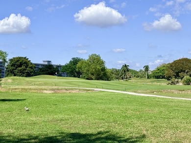 Palm Aire Country Club Golf Home! Beautifully Remodeled this 3 on Palm-Aire Country Club and Resort - Palms in Florida - for sale on GolfHomes.com, golf home, golf lot