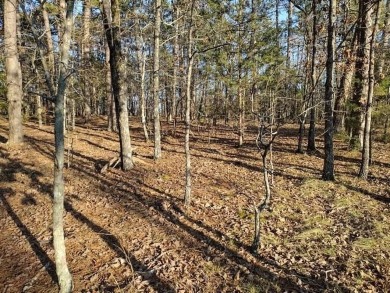 Nice lot across the street from Ponce de Leon golf course on Ponce De Leon Golf Course in Arkansas - for sale on GolfHomes.com, golf home, golf lot