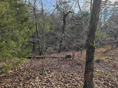 Nice, semi-level, golf-frontage lot on Balboa golf course with on Balboa Golf Course in Arkansas - for sale on GolfHomes.com, golf home, golf lot