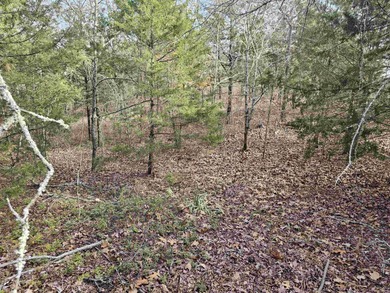 Nice, semi-level, golf-frontage lot on Balboa golf course with on Balboa Golf Course in Arkansas - for sale on GolfHomes.com, golf home, golf lot