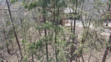 Nice, semi-level, golf-frontage lot on Balboa golf course with on Balboa Golf Course in Arkansas - for sale on GolfHomes.com, golf home, golf lot