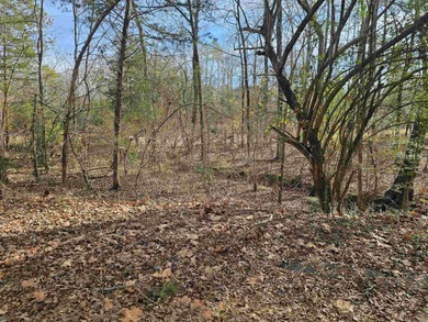 Nice, level, golf-frontage lot on Coronado golf course in of Hot on Coronado Golf Course in Arkansas - for sale on GolfHomes.com, golf home, golf lot