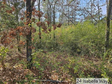 Nice, level, golf-frontage lot on Coronado golf course in of Hot on Coronado Golf Course in Arkansas - for sale on GolfHomes.com, golf home, golf lot