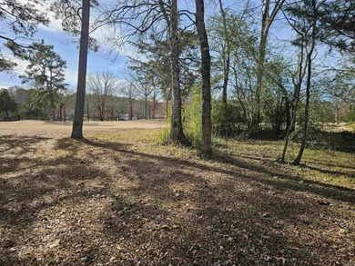 Nice, level, golf-frontage lot on Coronado golf course in of Hot on Coronado Golf Course in Arkansas - for sale on GolfHomes.com, golf home, golf lot