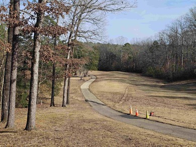 Nice, level, golf-frontage lot on Coronado golf course in of Hot on Coronado Golf Course in Arkansas - for sale on GolfHomes.com, golf home, golf lot