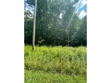 Nice buildable lot in the Comanche subdivision with Natural Gas on Lake Tansi Village Country Club in Tennessee - for sale on GolfHomes.com, golf home, golf lot