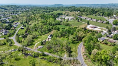 Have you been looking for the Perfect track of land to build on Country Club of Bristol in Tennessee - for sale on GolfHomes.com, golf home, golf lot