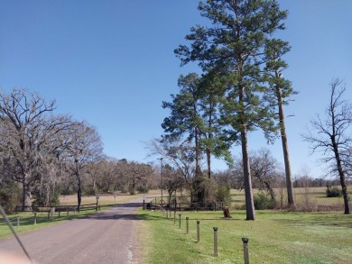 Looking for a peaceful property to enjoy variety of outdoor on Lake Estates Golf Club at Trinity Plantation in Texas - for sale on GolfHomes.com, golf home, golf lot