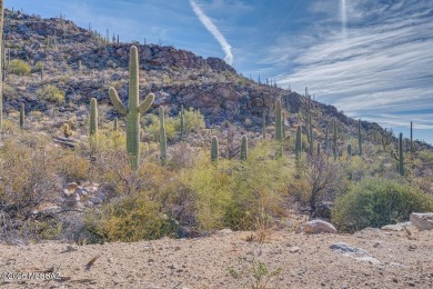 New Lower Price on this luxury custom home development lot. Here on Heritage Highlands At Dove Mountain in Arizona - for sale on GolfHomes.com, golf home, golf lot