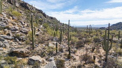 New Lower Price on this luxury custom home development lot. Here on Heritage Highlands At Dove Mountain in Arizona - for sale on GolfHomes.com, golf home, golf lot