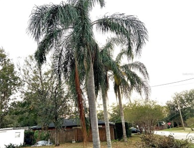 Welcome to Forest Hills.  This 3 Bedroom 2 Bath home sits on a on Babe Zaharias Golf Course in Florida - for sale on GolfHomes.com, golf home, golf lot