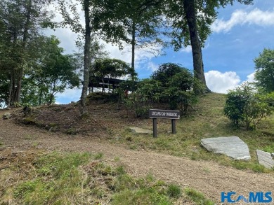 Gorgeous mountain view lot with a very gentle home site sitting on Natures Walk At Chinquapin in North Carolina - for sale on GolfHomes.com, golf home, golf lot