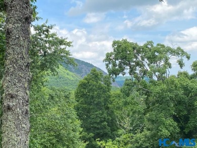 Gorgeous mountain view lot with a very gentle home site sitting on Natures Walk At Chinquapin in North Carolina - for sale on GolfHomes.com, golf home, golf lot