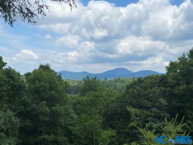Gorgeous mountain view lot with a very gentle home site sitting on Natures Walk At Chinquapin in North Carolina - for sale on GolfHomes.com, golf home, golf lot