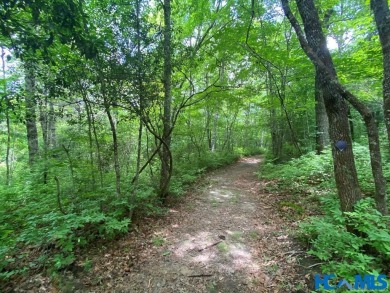 Gorgeous mountain view lot with a very gentle home site sitting on Natures Walk At Chinquapin in North Carolina - for sale on GolfHomes.com, golf home, golf lot