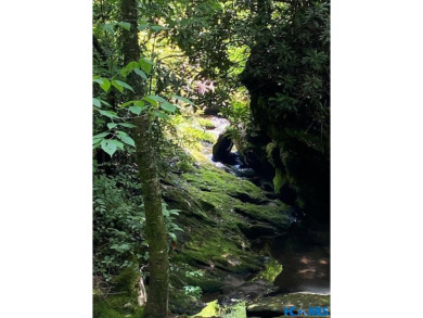 Gorgeous mountain view lot with a very gentle home site sitting on Natures Walk At Chinquapin in North Carolina - for sale on GolfHomes.com, golf home, golf lot