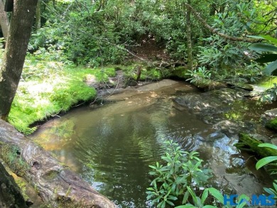 Gorgeous mountain view lot with a very gentle home site sitting on Natures Walk At Chinquapin in North Carolina - for sale on GolfHomes.com, golf home, golf lot