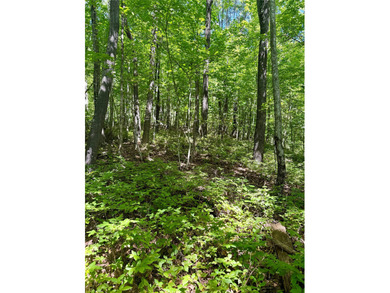 Build the mountain home you've always imagined in the desirable on Sapphire National Golf Club in North Carolina - for sale on GolfHomes.com, golf home, golf lot