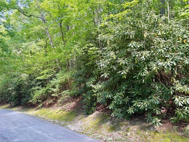 Build the mountain home you've always imagined in the desirable on Sapphire National Golf Club in North Carolina - for sale on GolfHomes.com, golf home, golf lot