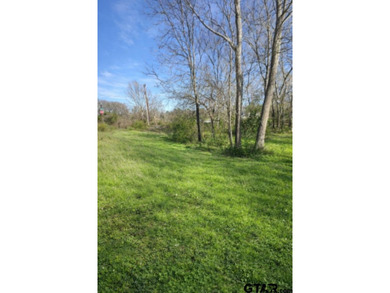 Welcome to Pine Hills Cascades! This prime corner lot offers an on Cascades Golf Club in Texas - for sale on GolfHomes.com, golf home, golf lot